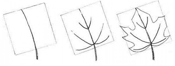 Осенний лист карандашом для начинающих