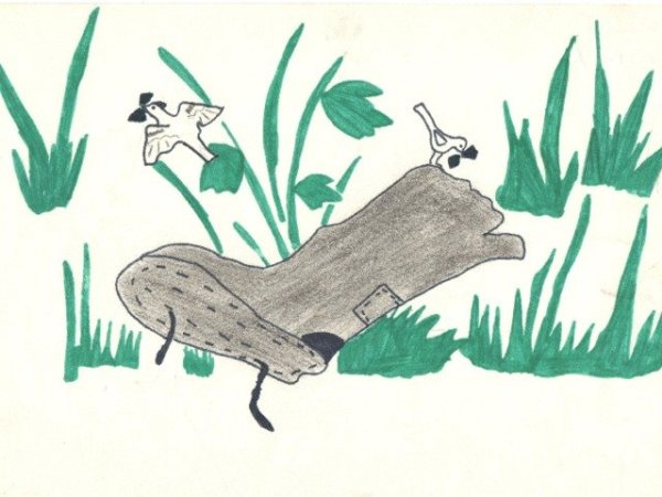 Иллюстрация кладовая солнца легко