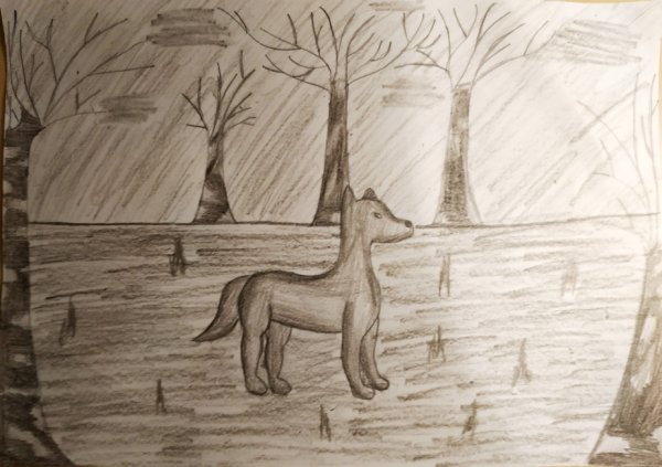 Нарисовать рисунок кладовая солнца