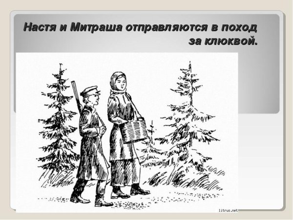 Пришвин кладовая солнца иллюстрации