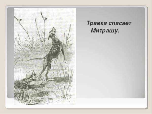 Кладовая солнца спасение Митраши