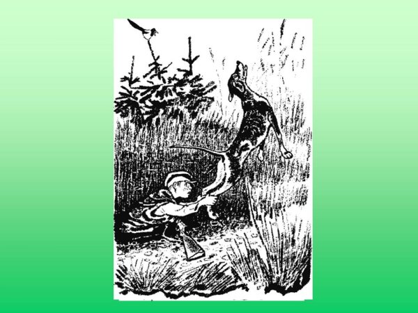 Митраша кладовая Пришвина