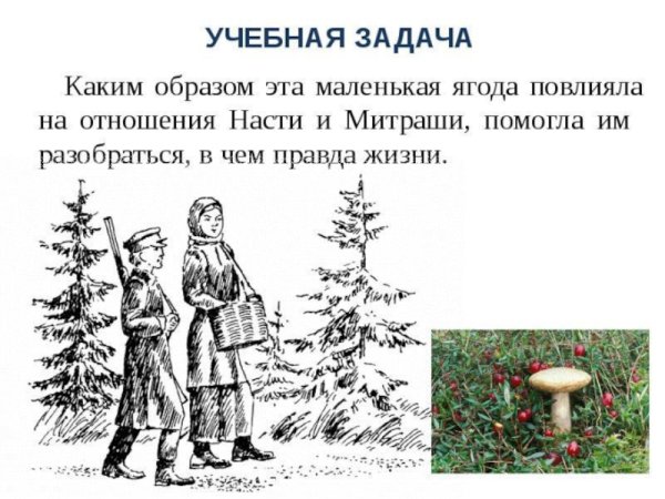 Пришвин кладовая солнца раскраска