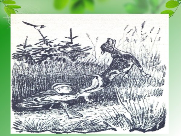 Иллюстрации к сказке кладовая солнца пришвин