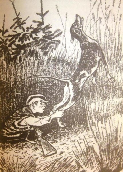 М М пришвин кладовая солнца иллюстрации