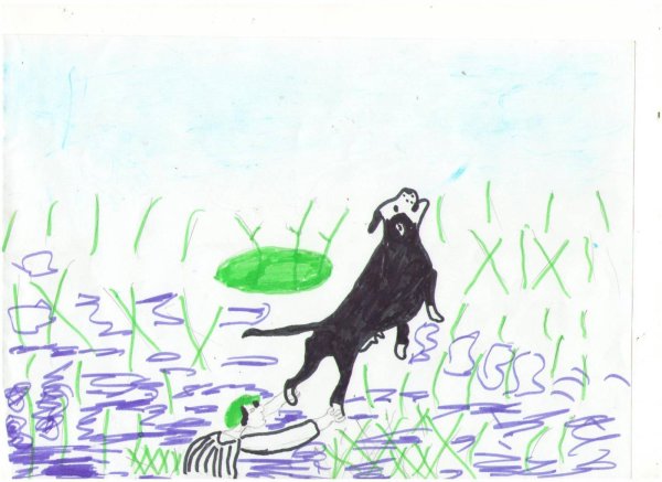 Иллюстрация к рассказу Пришвина кладовая солнца