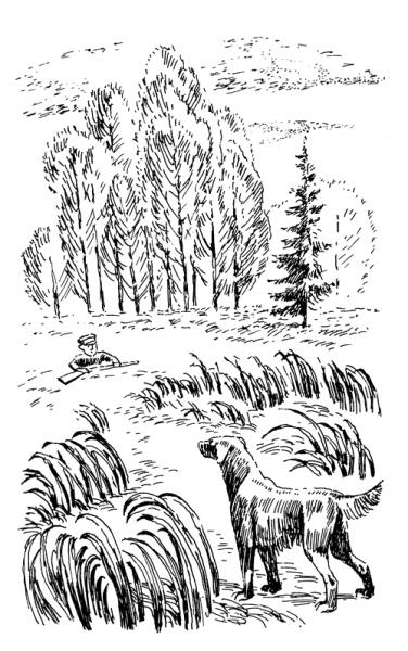 Иллюстрация к рассказу Пришвина кладовая солнца