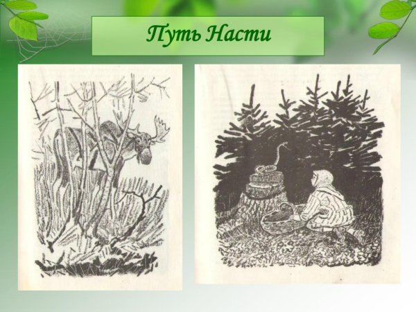 Путь Насти кладовая солнца