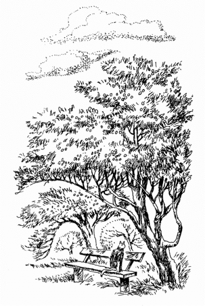 Пришвин Лесной хозяин раскраска