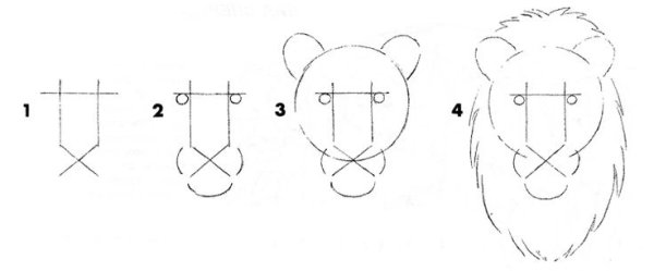 Голова Льва рисунок карандашом поэтапно