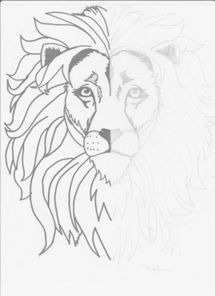 Морда Льва трафарет