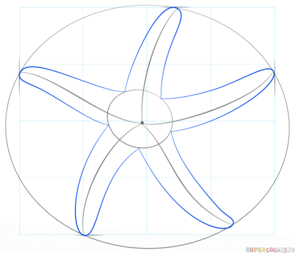 Морская звезда карандашом