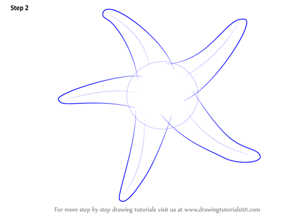 Нарисовать морскую звезду по этапам