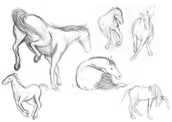 Позы лошадей для рисования