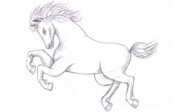 Животные карандашом