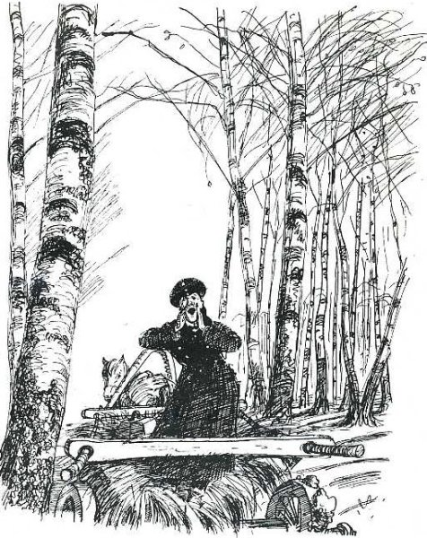 Пересолил Чехов