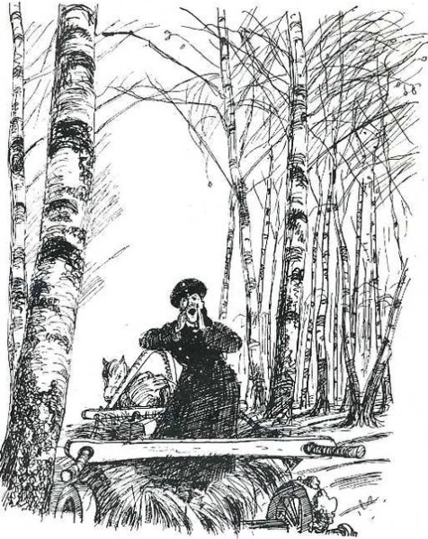 Пересолил иллюстрации