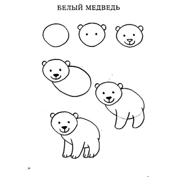 Медведь рисунок карандашом для детей