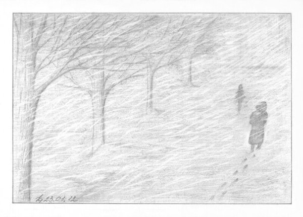 Этюд метель ф.листа