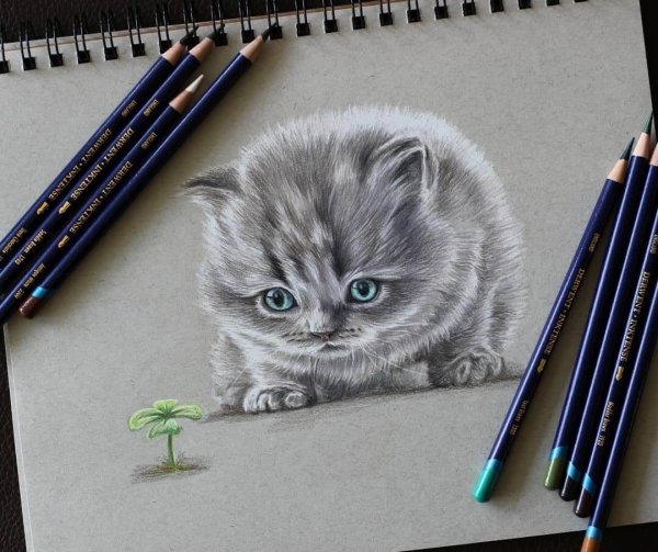 Рисунки цветными карандашами