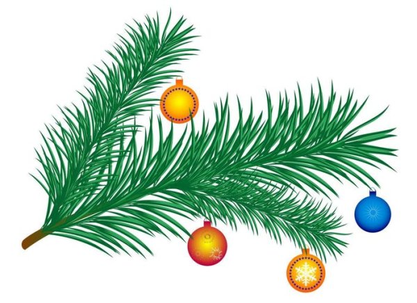 Шишка раскраска