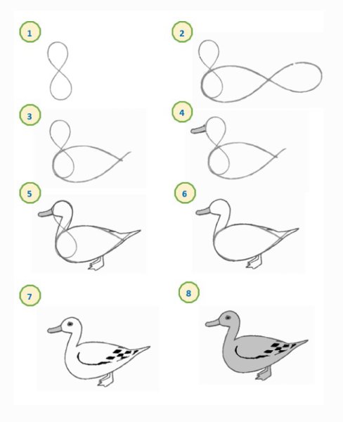 Утки карандашом