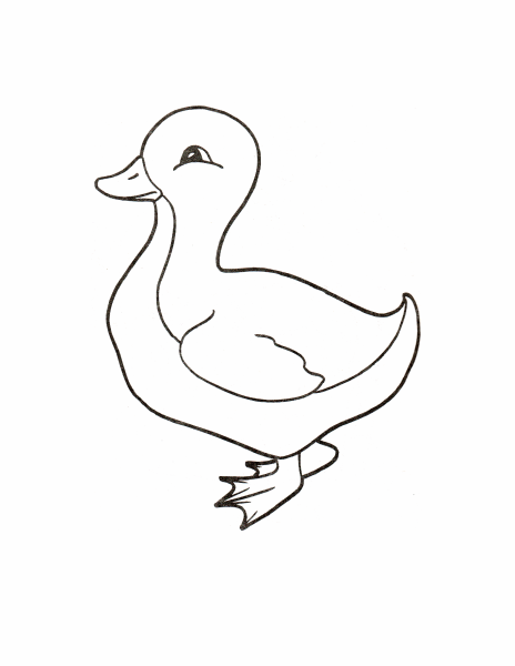 Утка поэтапное рисование