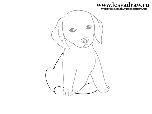 Рисунки для срисовки лёгкие собаки