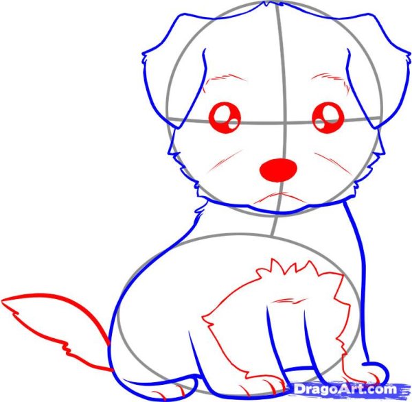 Как нарисовать собачку карандашом поэтапно для детей