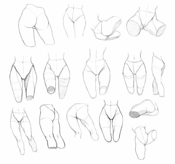 Рисунки тела для срисовки