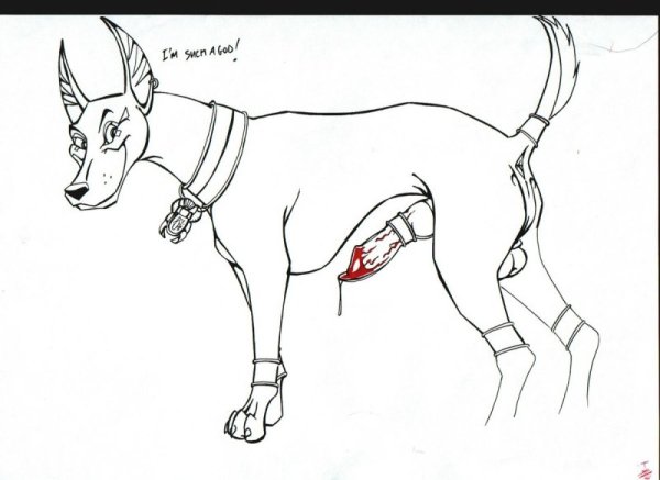 Доберман карандашом для срисовки