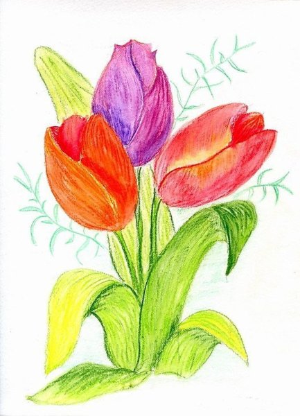 Рисование весенних цветов