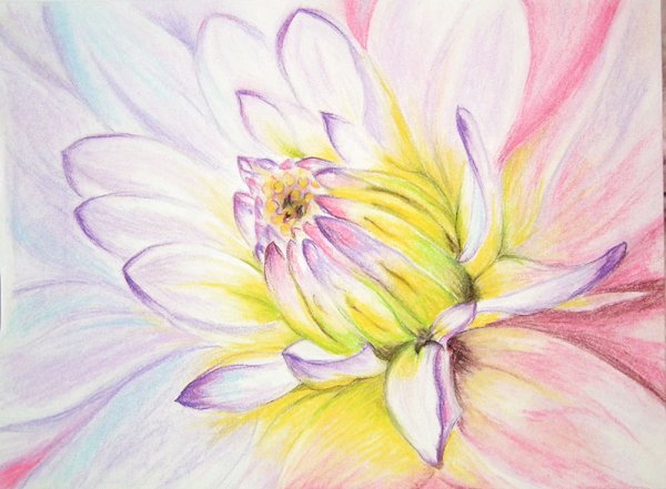 Цветы пастелью для начинающих