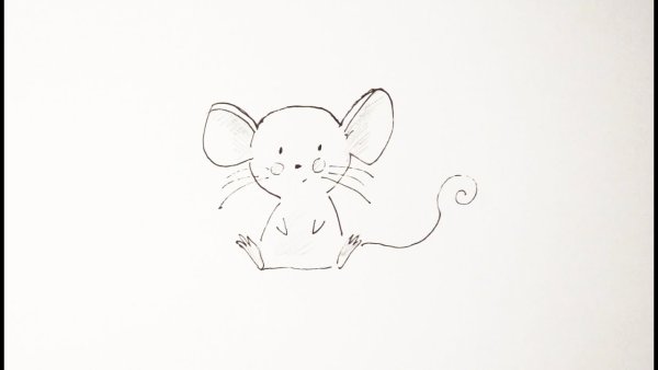 Мышка для срисовки карандашом