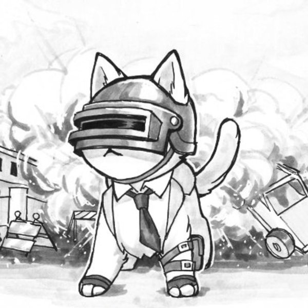 Карандашом ПАБГ котики