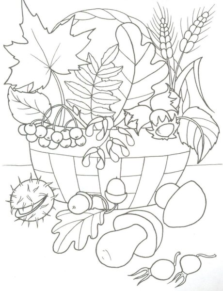 Осень раскраска для детей