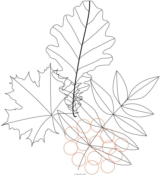 Осенние листочки карандашом