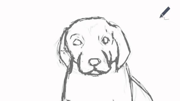 Грустная собака карандашом поэтапно