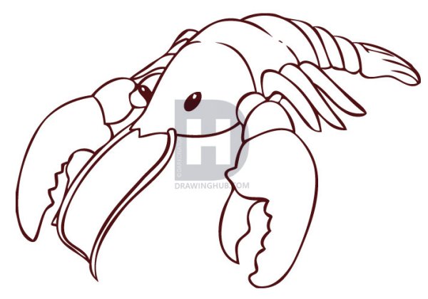 Рачки рисунок карандашом