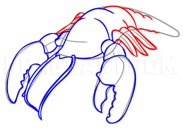 Как нарисовать Рачков поэтапно
