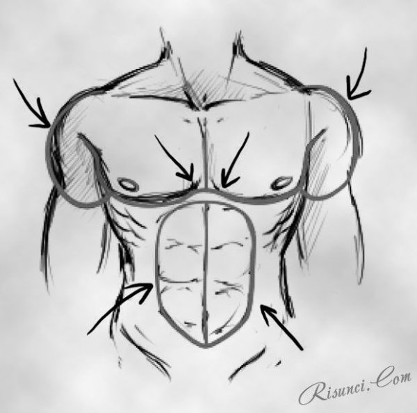 Мужской торс карандашом