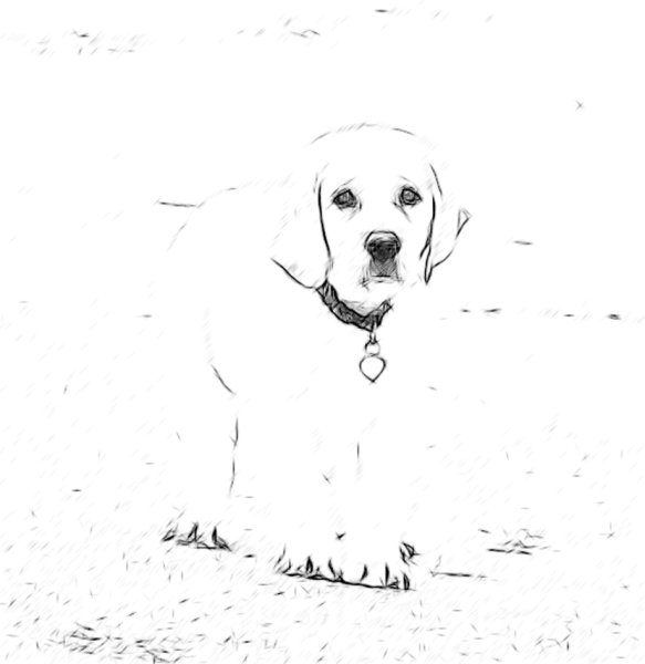 Лабрадор рисунок для детей легкий