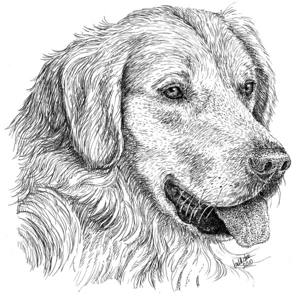 Аппликации с изображением собаки лабрадора