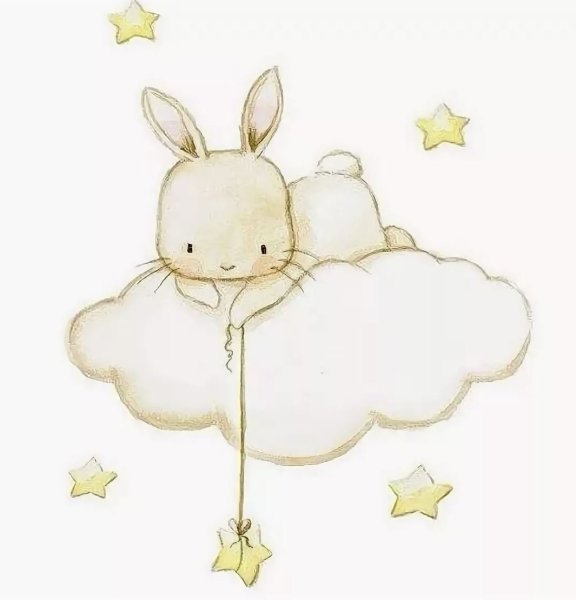 Аида Замора зайки