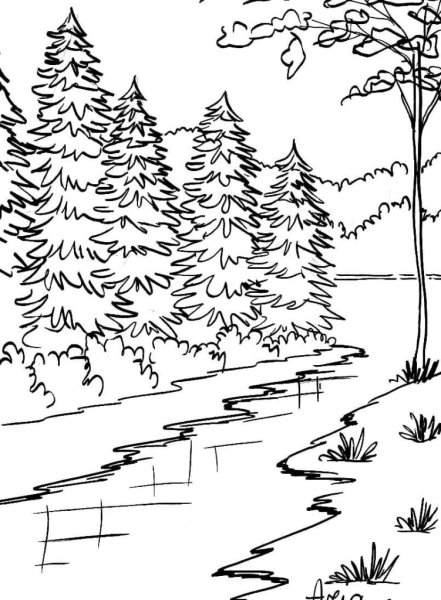 Набросок зимнего леса