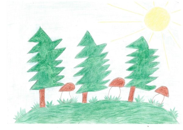 Лес зарисовка