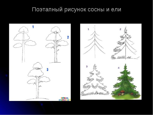 Зимний лес рисунок