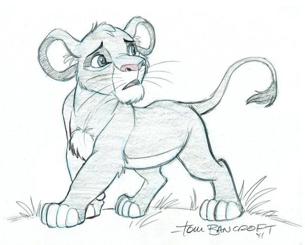 Как нарисовать Симбу поэтапно