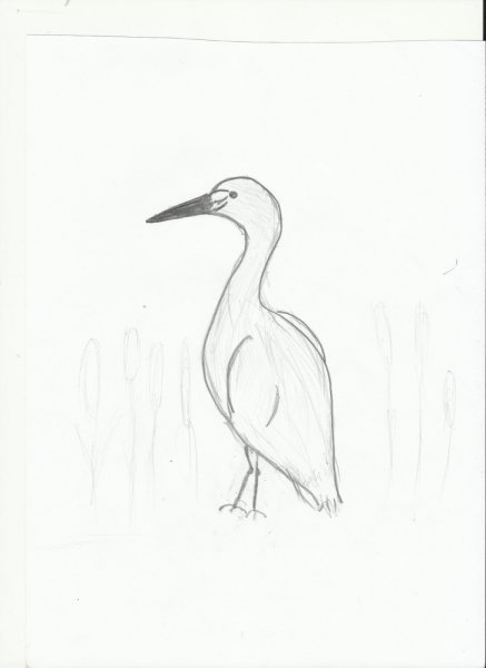 Легкое рисование Цапли