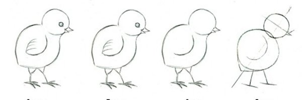 Цыпленок рисунок карандашом
